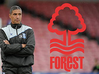 Chris Hughton replaces sacked...